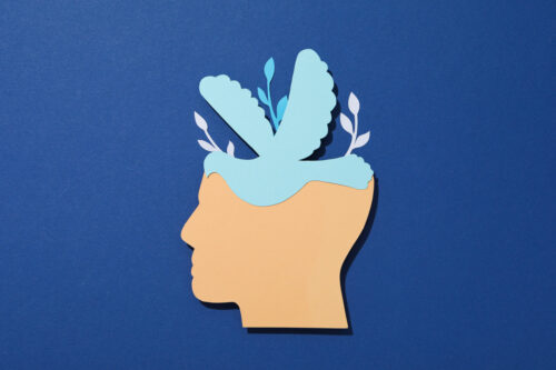 Graphic of a person with plants coming out of the top of their head to represent mental health